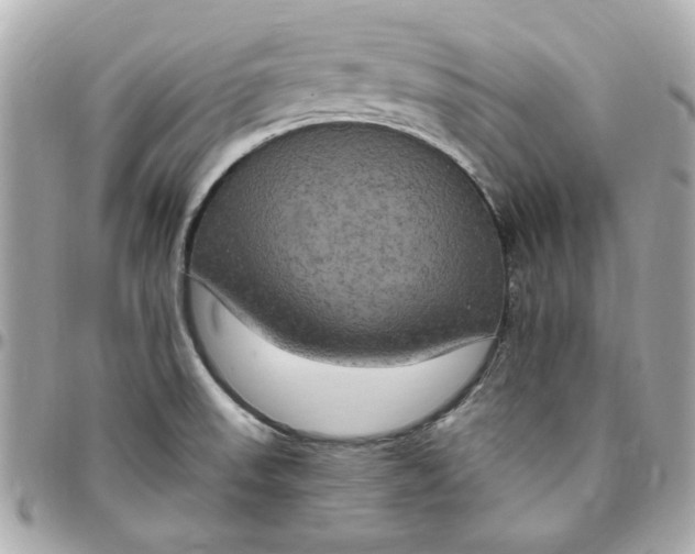 X0000096491523200802071931