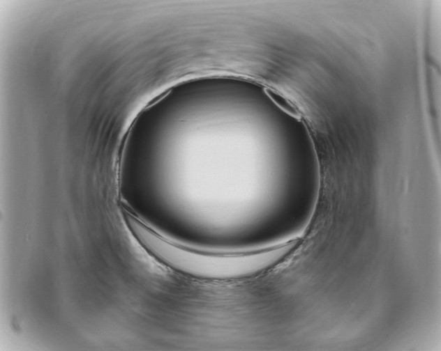 X0000096491524200802071931