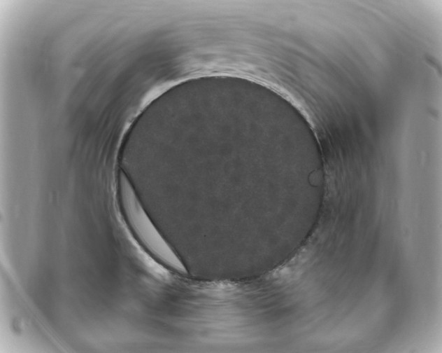 X0000096491525200802071931