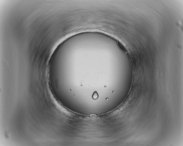 X0000096491526200802071931