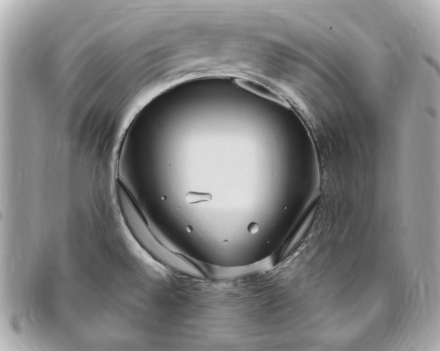 X0000096491528200802071931