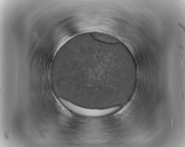 X0000096491529200802071931