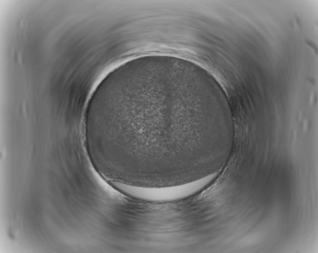 X0000096491531200802071931