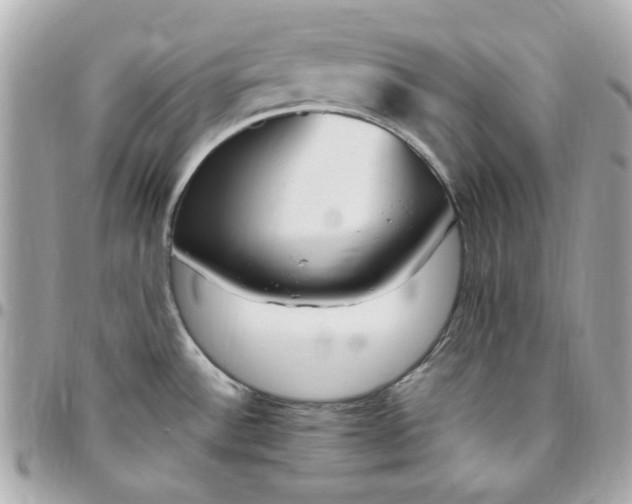 X0000096491532200802071931