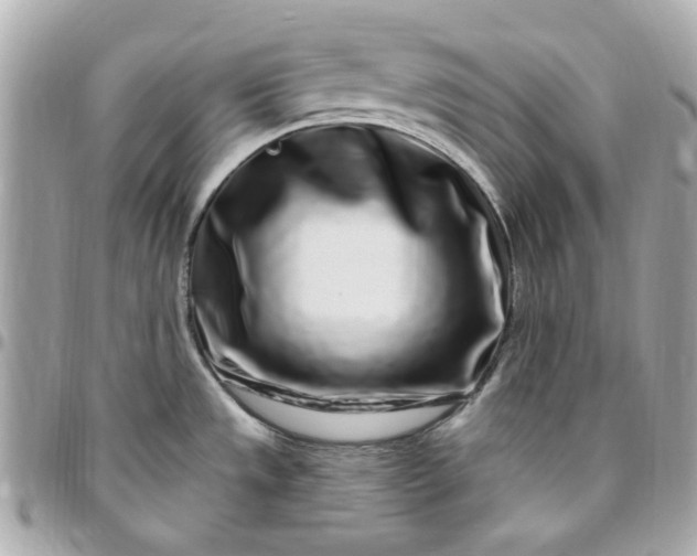 X0000096491533200802071931