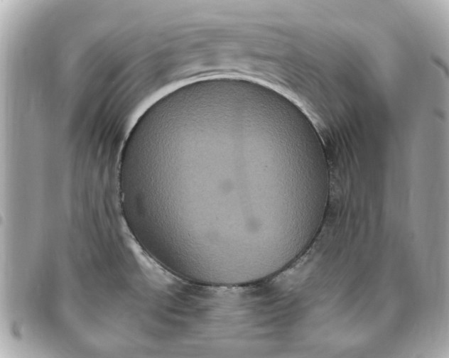 X0000096491534200802071931