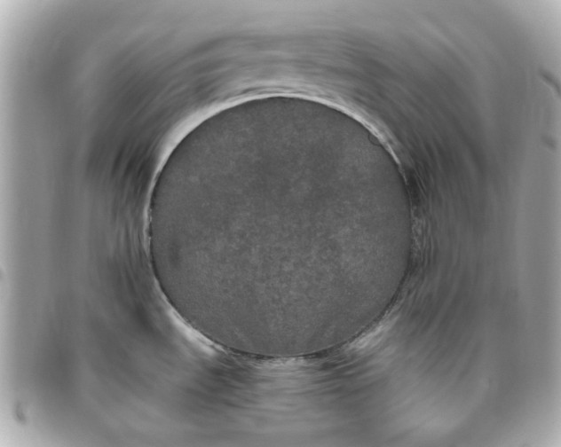 X0000096491535200802071931