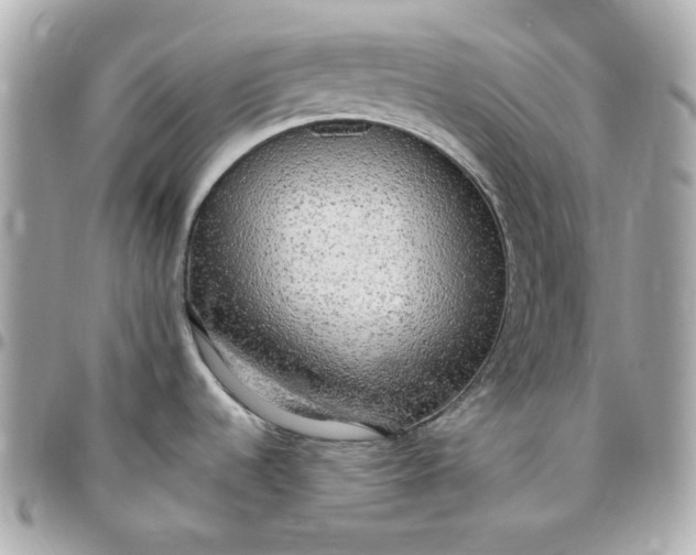 X0000096491536200802071931