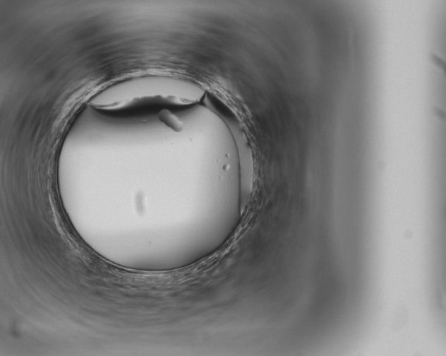 X0000096490001200802141757