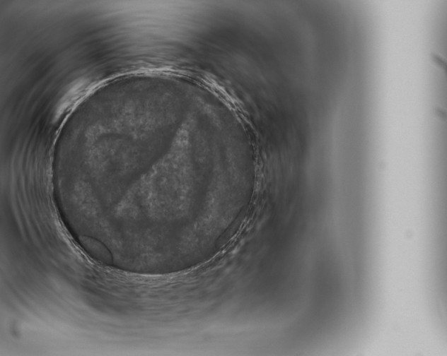 X0000096490002200802141757