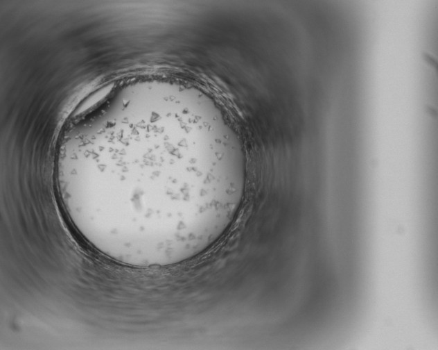 X0000096490003200802141757