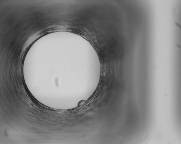 X0000096490004200802141757