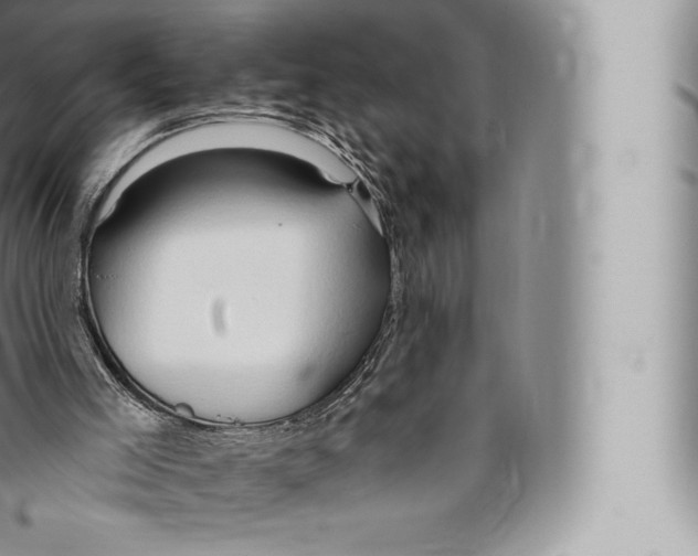 X0000096490005200802141757