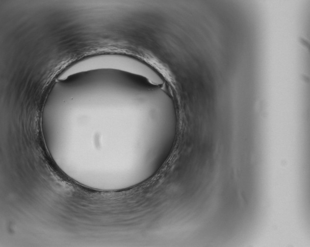 X0000096490009200802141757