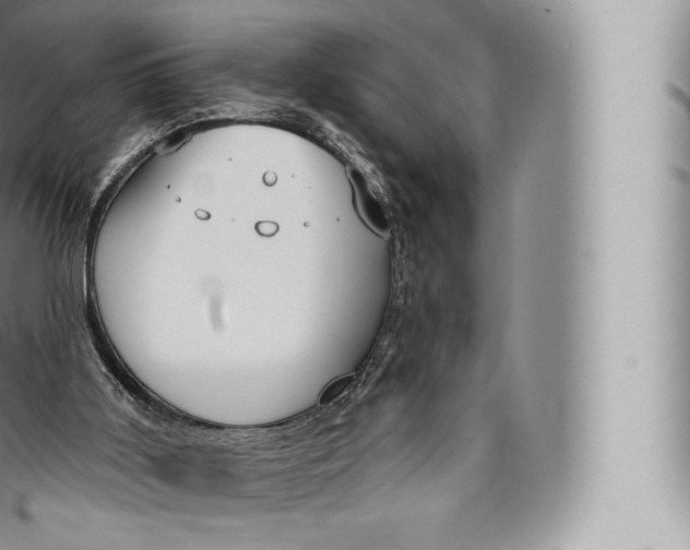 X0000096490011200802141757