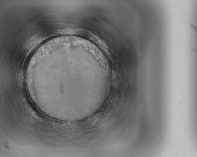 X0000096490012200802141757