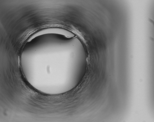 X0000096490013200802141757