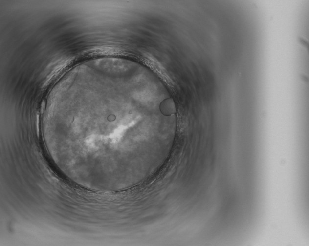 X0000096490014200802141757