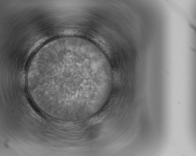 X0000096490016200802141757