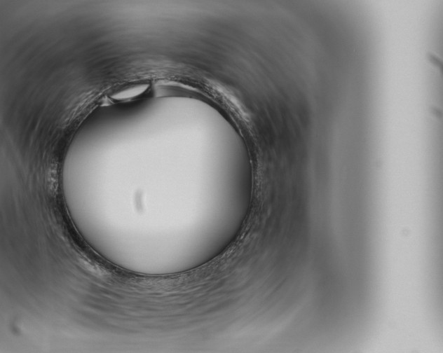 X0000096490017200802141757