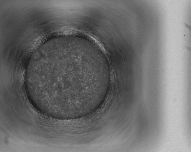 X0000096490018200802141757