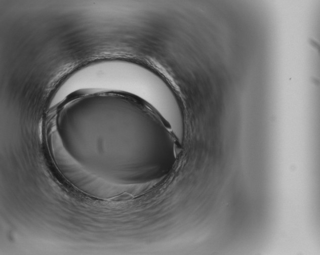 X0000096490019200802141757