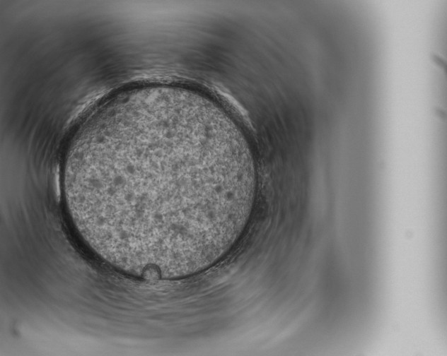 X0000096490020200802141757