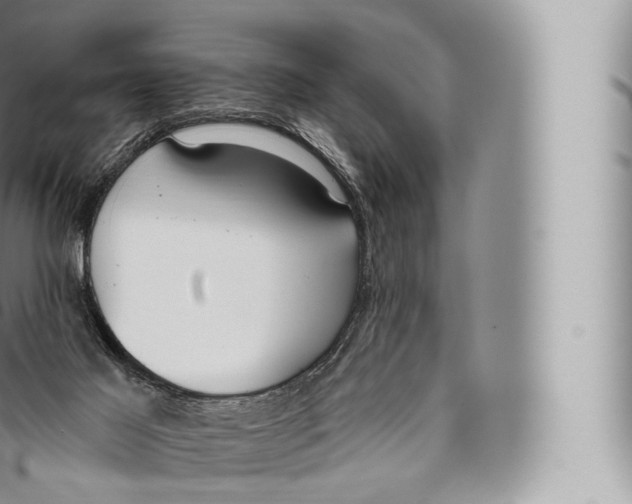 X0000096490021200802141757