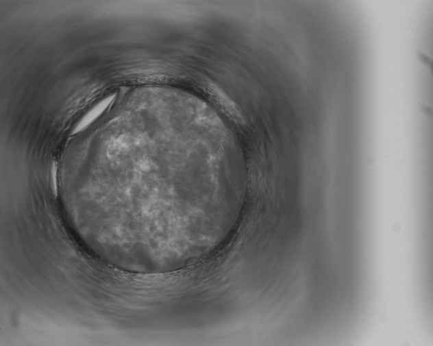 X0000096490022200802141757