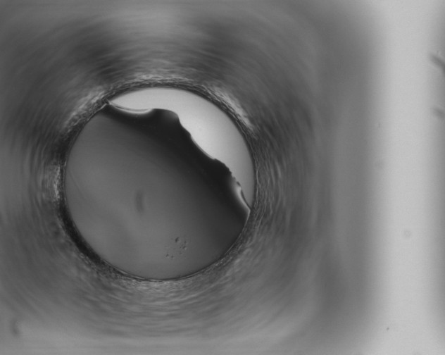 X0000096490023200802141757