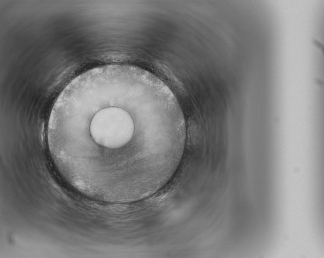 X0000096490024200802141757