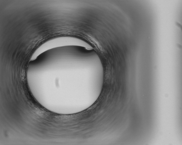 X0000096490025200802141757