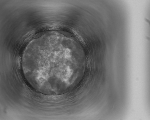 X0000096490026200802141757