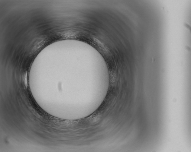 X0000096490028200802141757