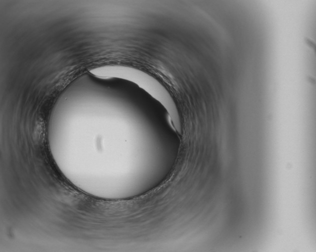 X0000096490029200802141757