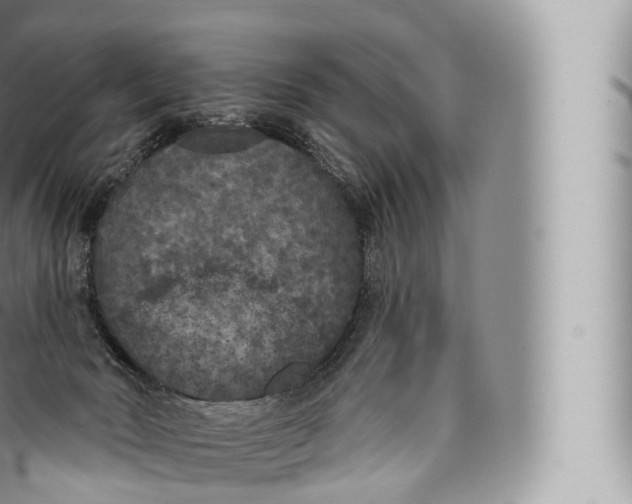 X0000096490030200802141757