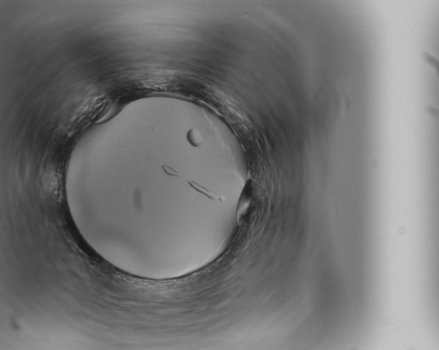 X0000096490031200802141757