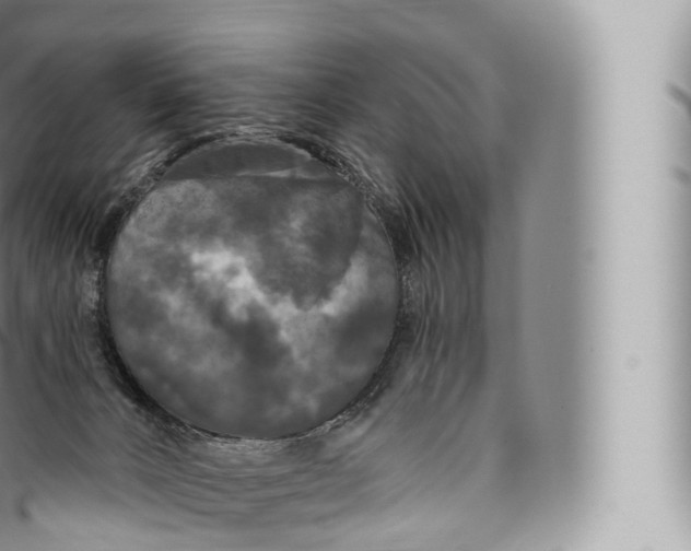 X0000096490032200802141757