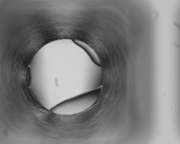 X0000096490033200802141756