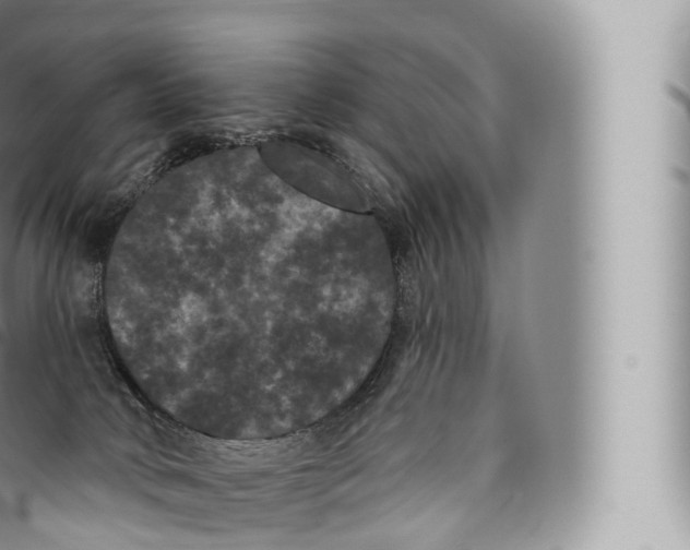 X0000096490034200802141756