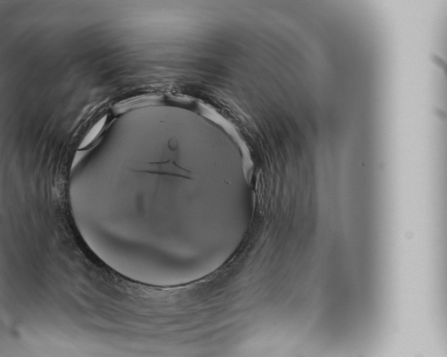 X0000096490035200802141756