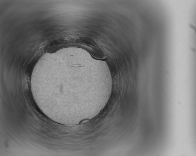 X0000096490038200802141756