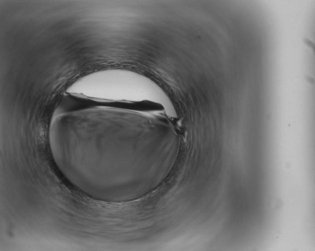 X0000096490039200802141756