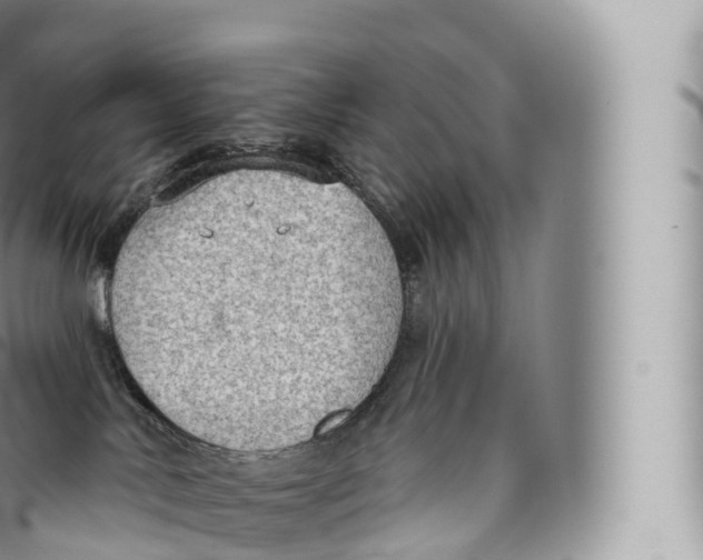 X0000096490042200802141756