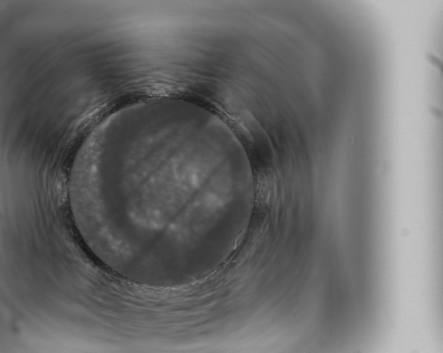 X0000096490043200802141756