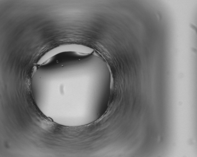 X0000096490045200802141756