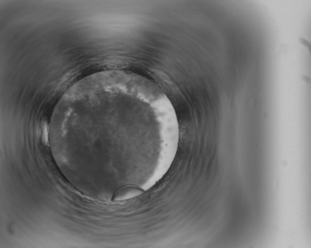 X0000096490046200802141756