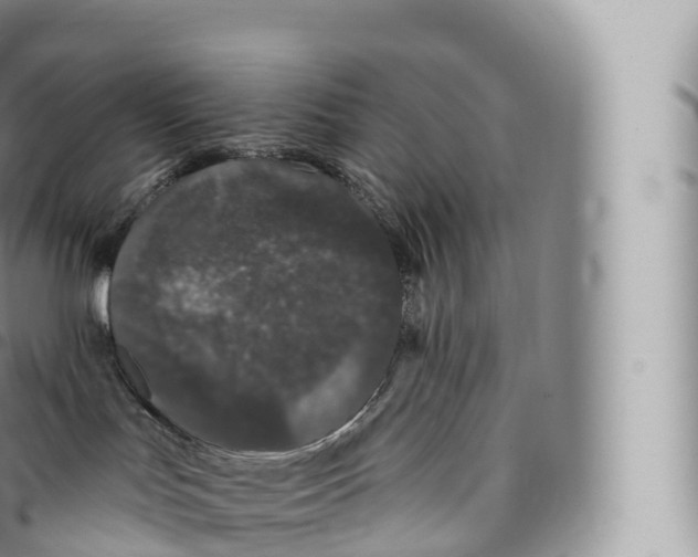 X0000096490047200802141756