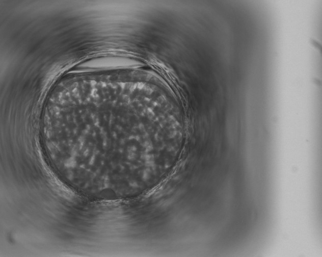 X0000096490049200802141755