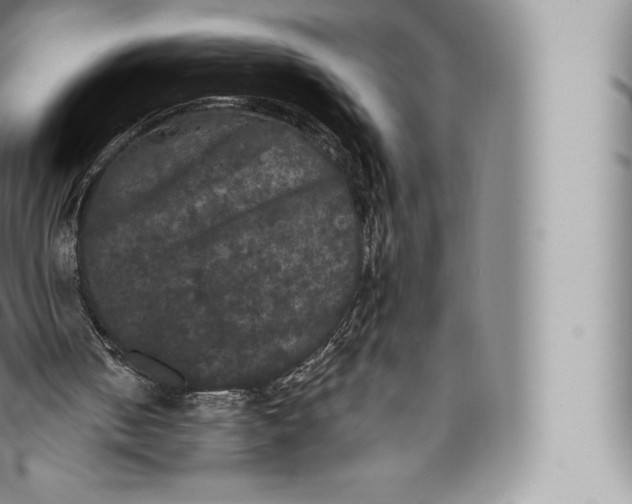 X0000096490050200802141755